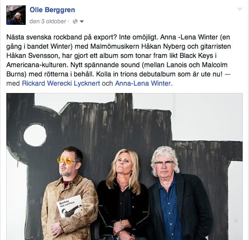 Recension RAW Olle Berggren